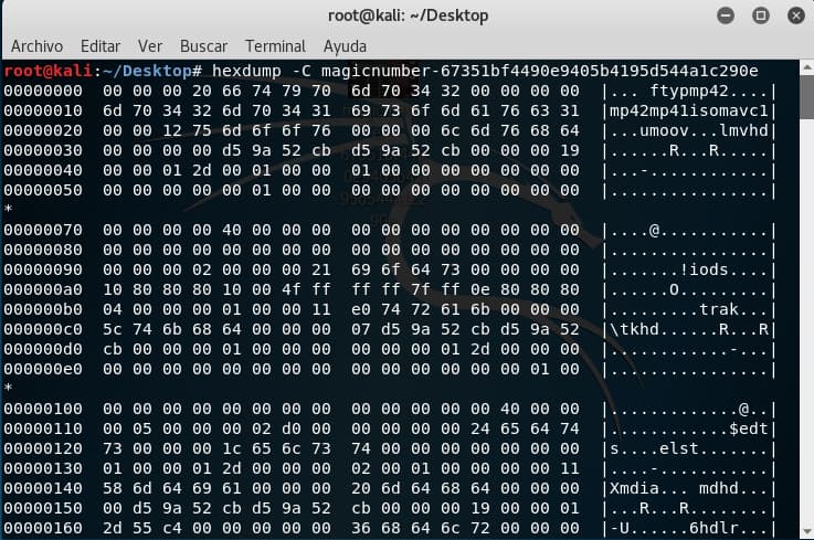 File Magic Numbers